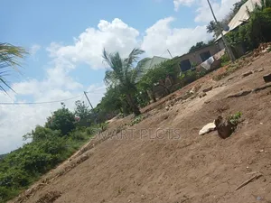 Viwanja Vizuri Sana Vinauzwa Goba Kulangwa Whiterose