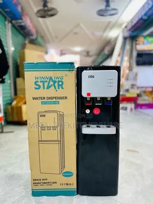 Winning Star Multifunction Water Dispens With Fridge