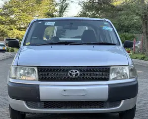 Toyota Probox 2003 Silver