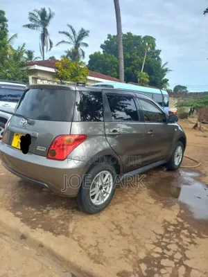 Toyota IST 2007 Gray