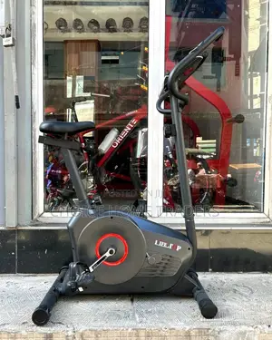 Magnetic Bike