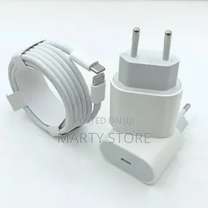 iPhone Charger -