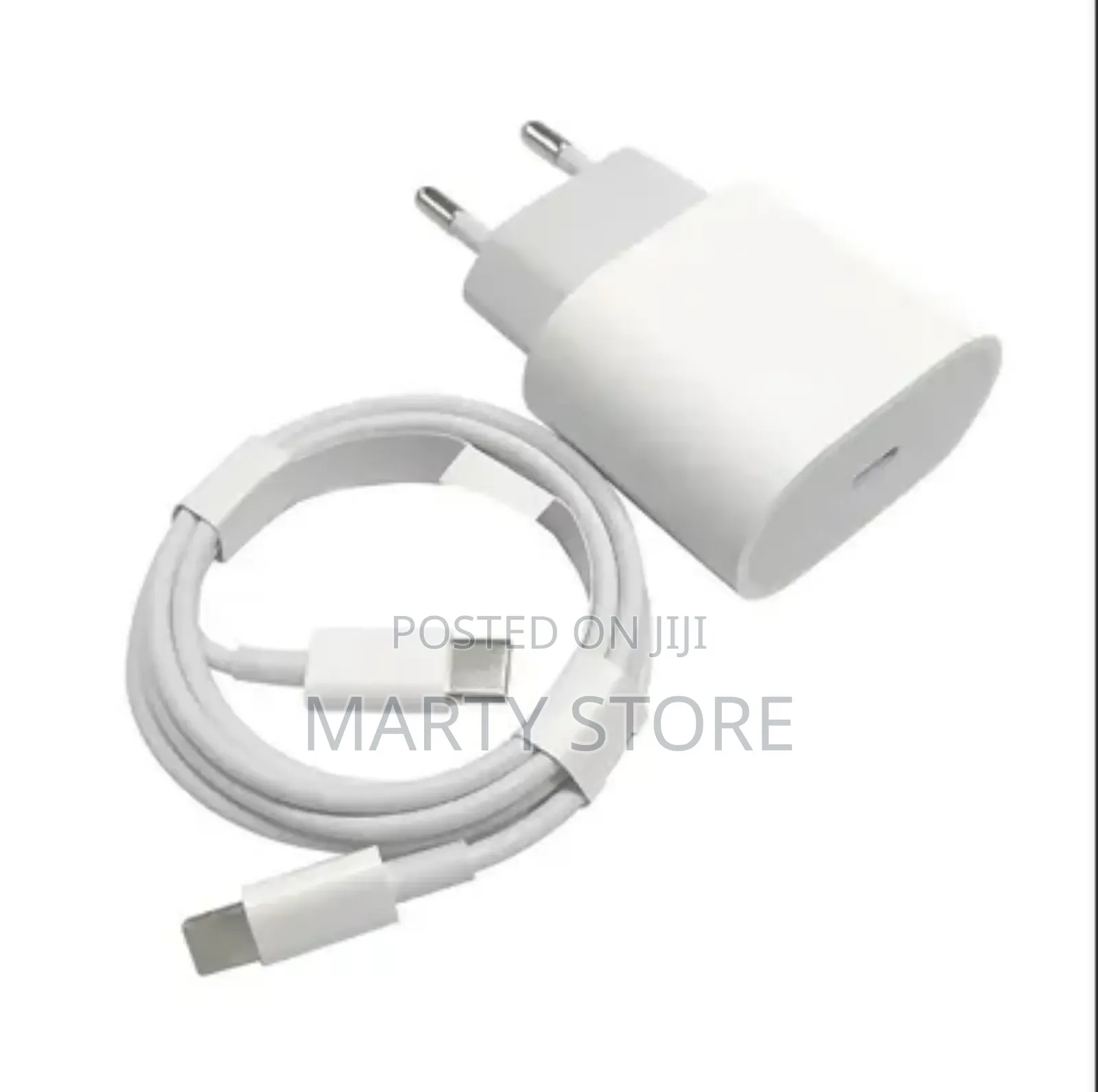 iPhone Charger -