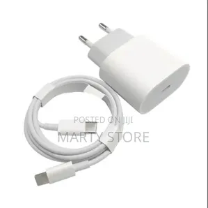 iPhone Charger -