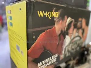Wking Speaker