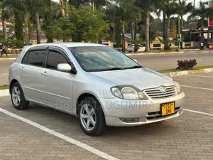 Toyota Allex 2004 Silver