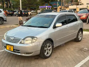 Toyota Allex 2004 Silver