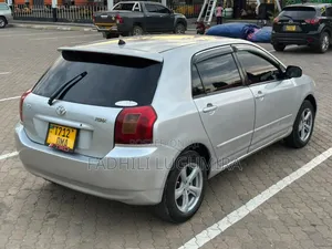 Toyota Allex 2004 Silver