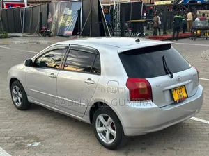 Toyota Allex 2004 Silver