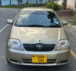 Toyota Corolla RunX 2004 Gold