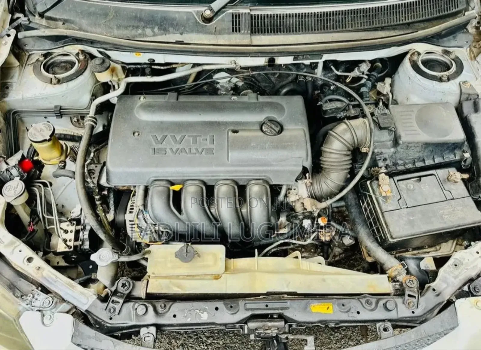 Toyota Voltz 2004 White