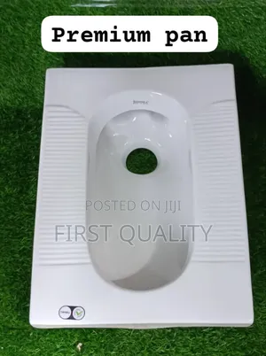 Squatting Toilet