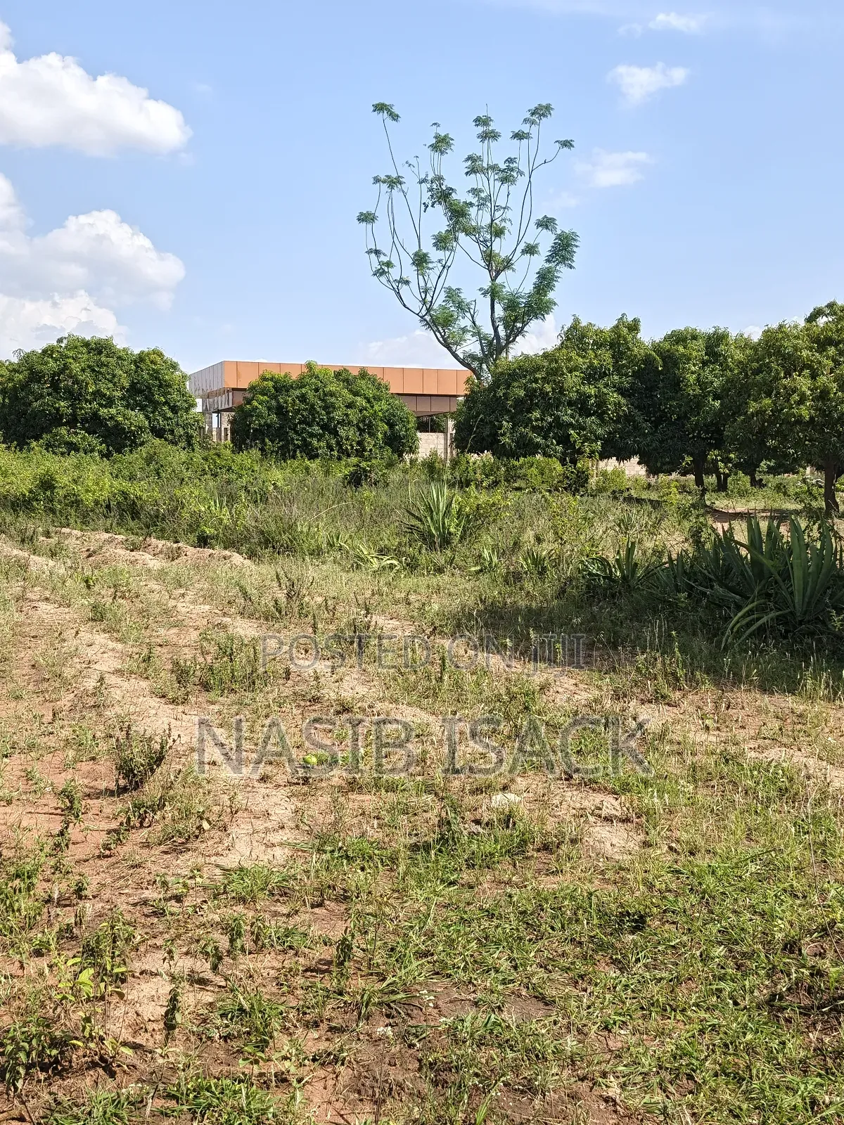 Plote for Sale