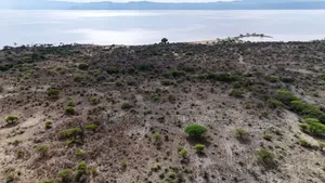 20 Acres of Land Bordering Lake Manyara for Sale at Arusha