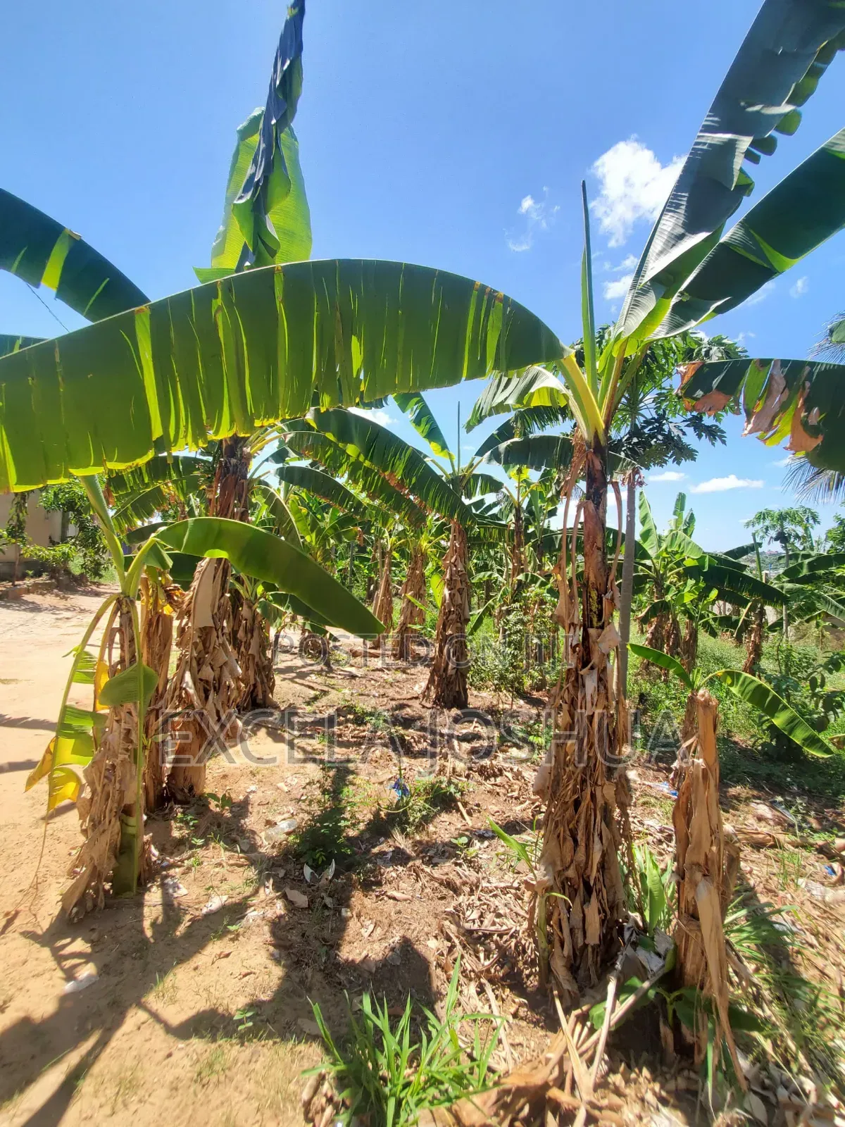 Kiwanja Kinauzwa Madale Mwisho