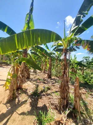 Kiwanja Kinauzwa Madale Mwisho