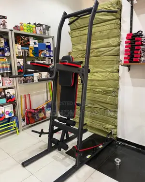 Dip Station Trainer