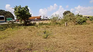 Kiwanja Cha SQM 1250