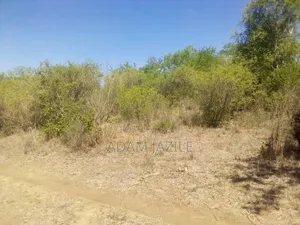 Shamba Ekari 15 Linuzwa Msata Chalinze