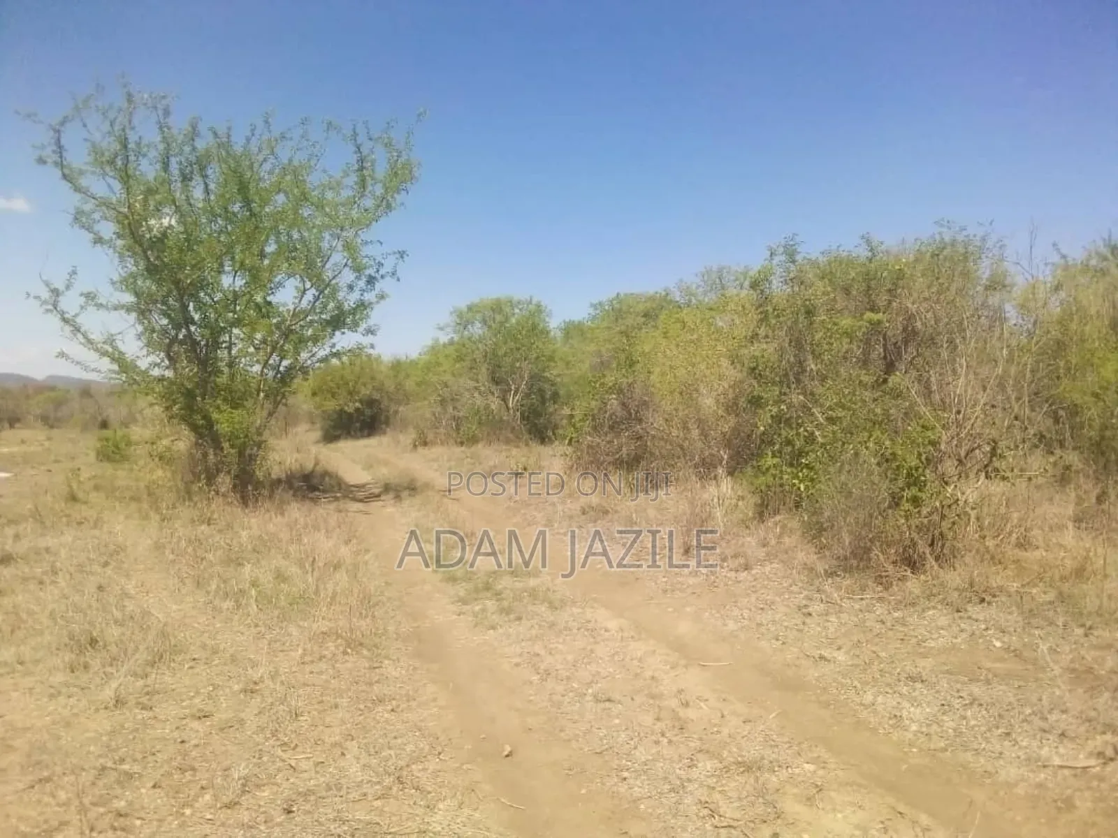 Shamba Ekari 15 Linuzwa Msata Chalinze
