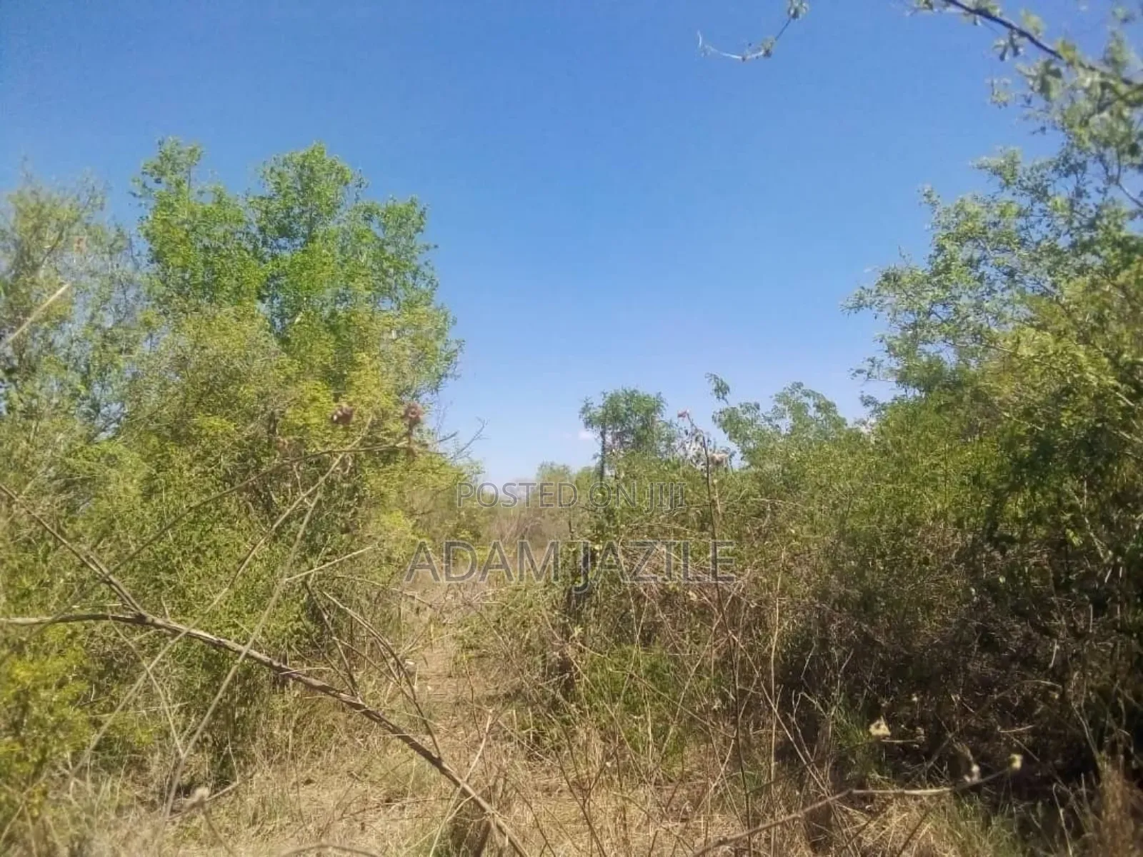 Shamba Ekari 15 Linuzwa Msata Chalinze