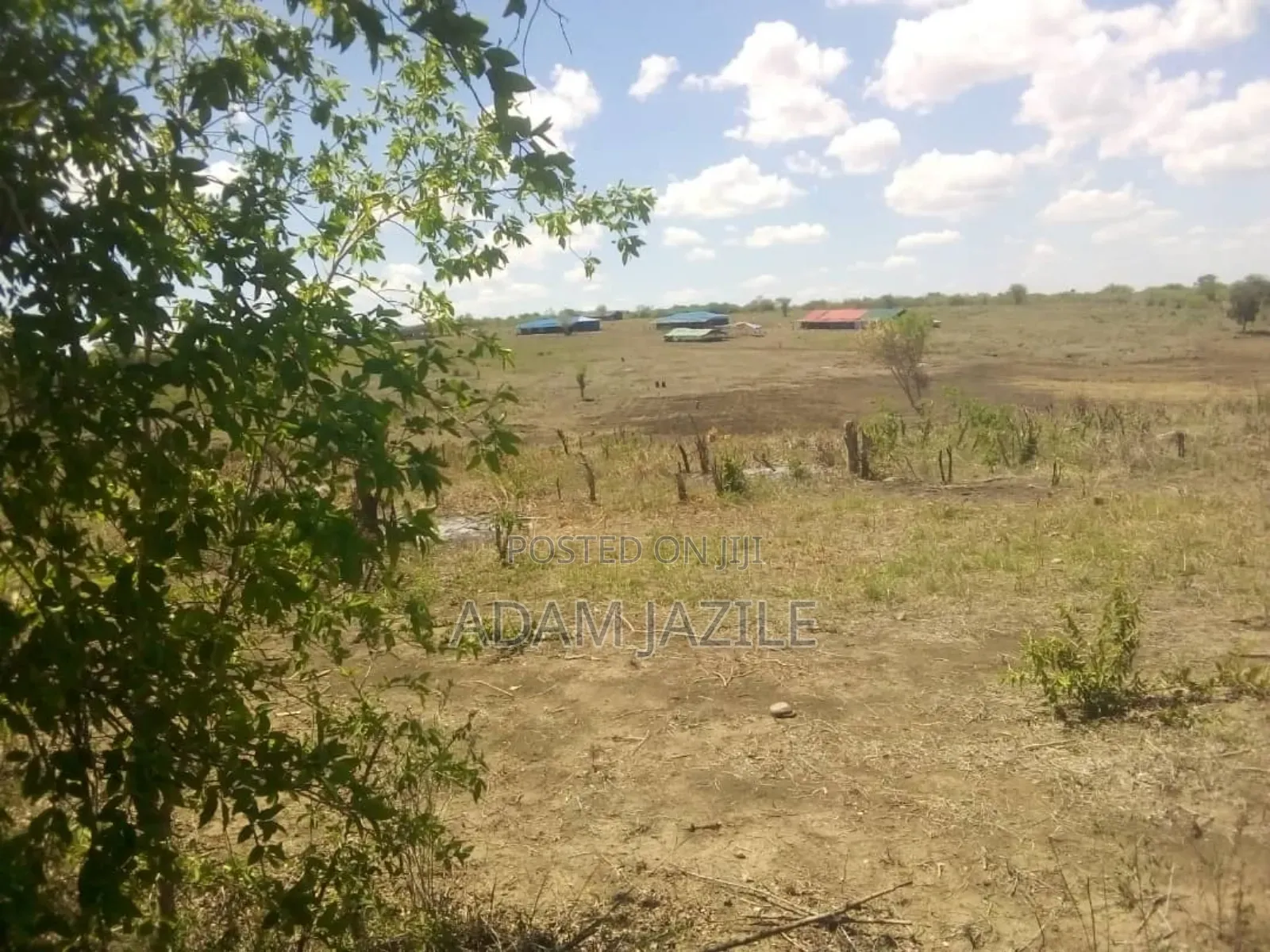 Shamba Ekari 15 Linuzwa Msata Chalinze