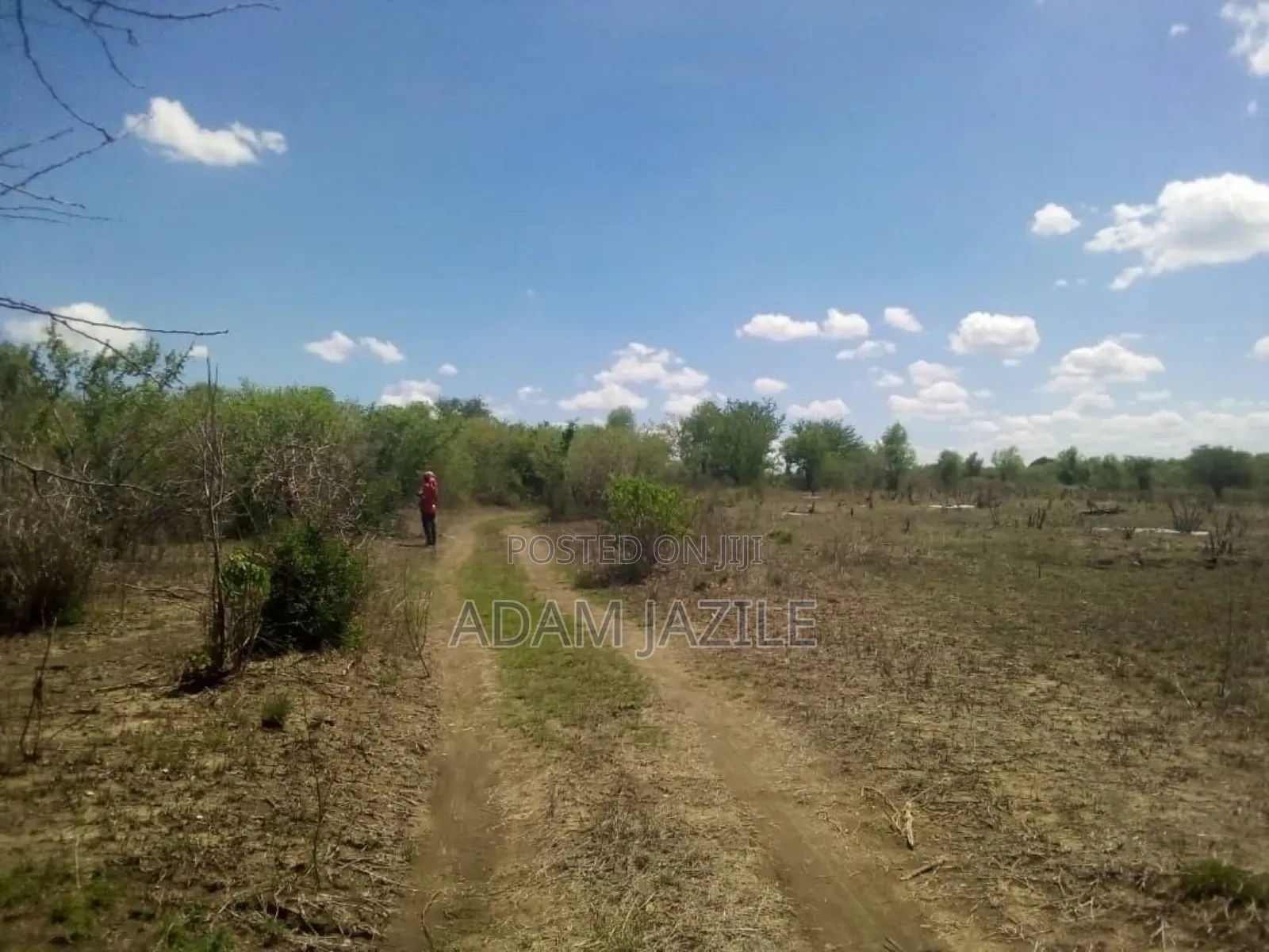 Shamba Ekari 15 Linuzwa Msata Chalinze