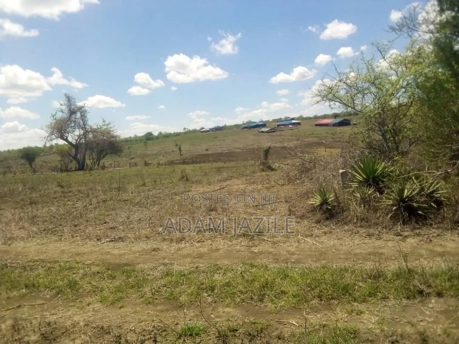 Shamba Ekari 15 Linuzwa Msata Chalinze