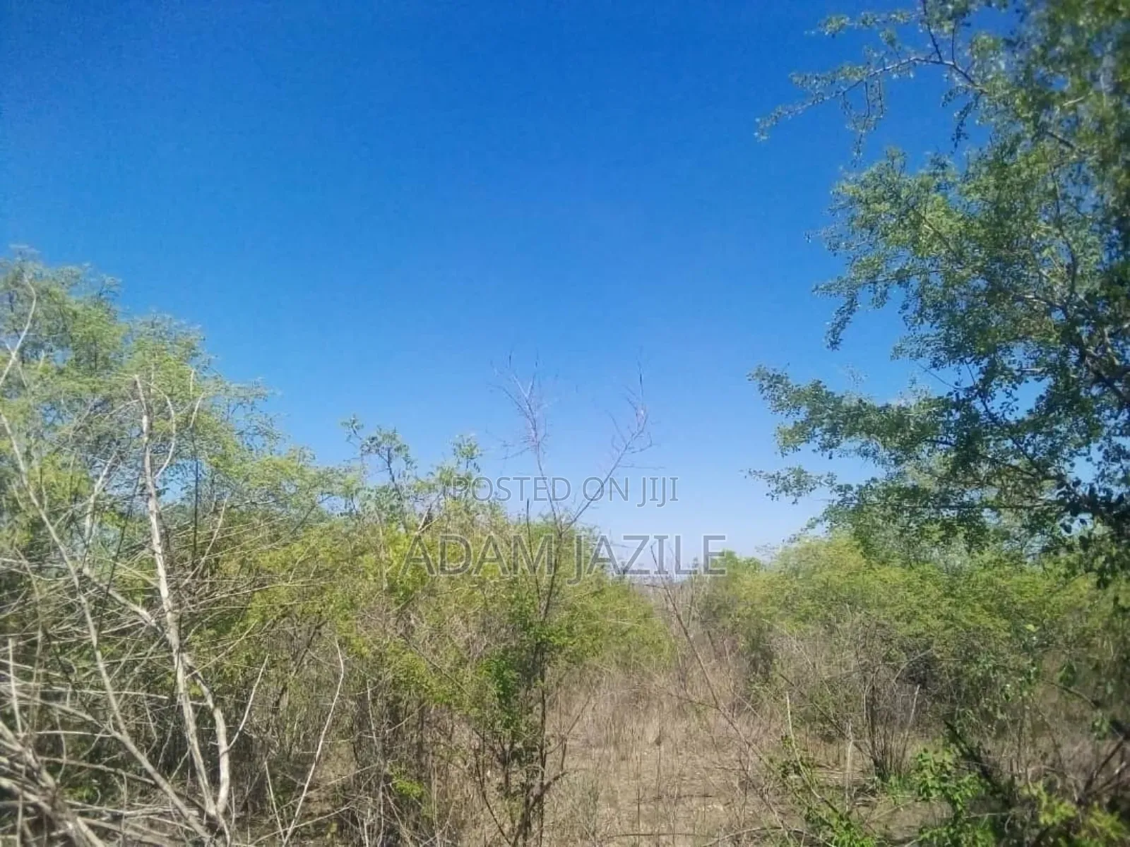 Shamba Ekari 15 Linuzwa Msata Chalinze