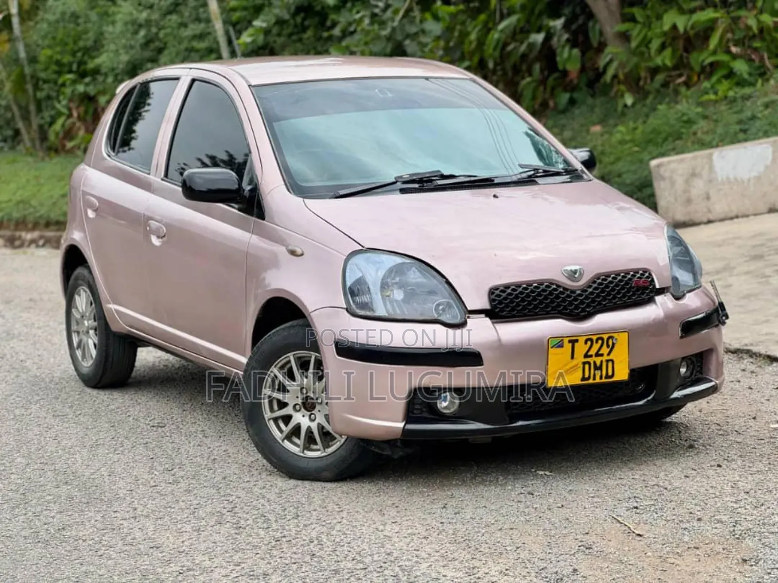 Toyota Vitz 2004 Ivory