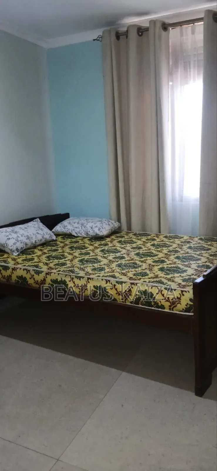 Furnished 2bdrm Block of Flats in Mazengo And Mindu, Upanga West