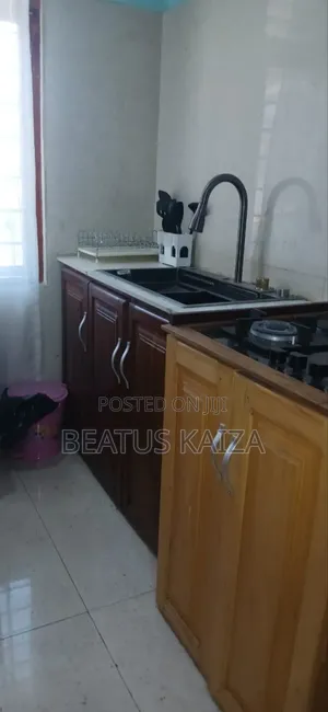Furnished 2bdrm Block of Flats in Mazengo And Mindu, Upanga West