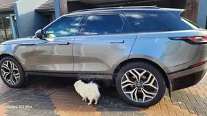 Land Rover Range Rover Velar P250 S 4x4 2020 Gray
