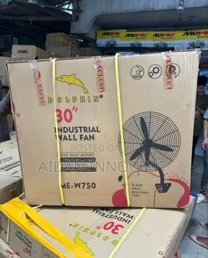Dolphin 30 Industrial Dan