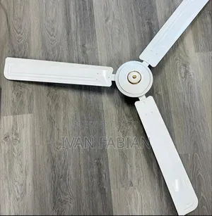Ceiling Fan