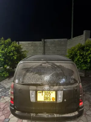 Toyota Probox 2006 Black