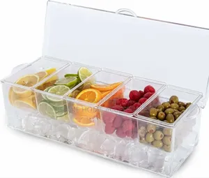 Condiment Tray With Ice Chamber(4 Removable Fruit Tray) In 1