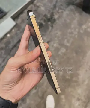 Apple iPhone 12 Pro Max 128 GB Gold