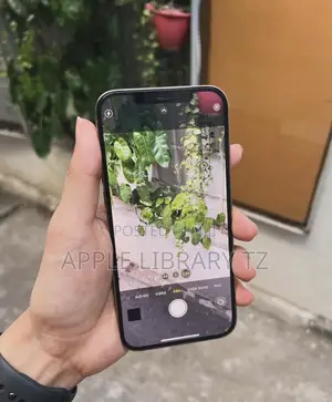 Apple iPhone 12 Pro Max 128 GB Gold