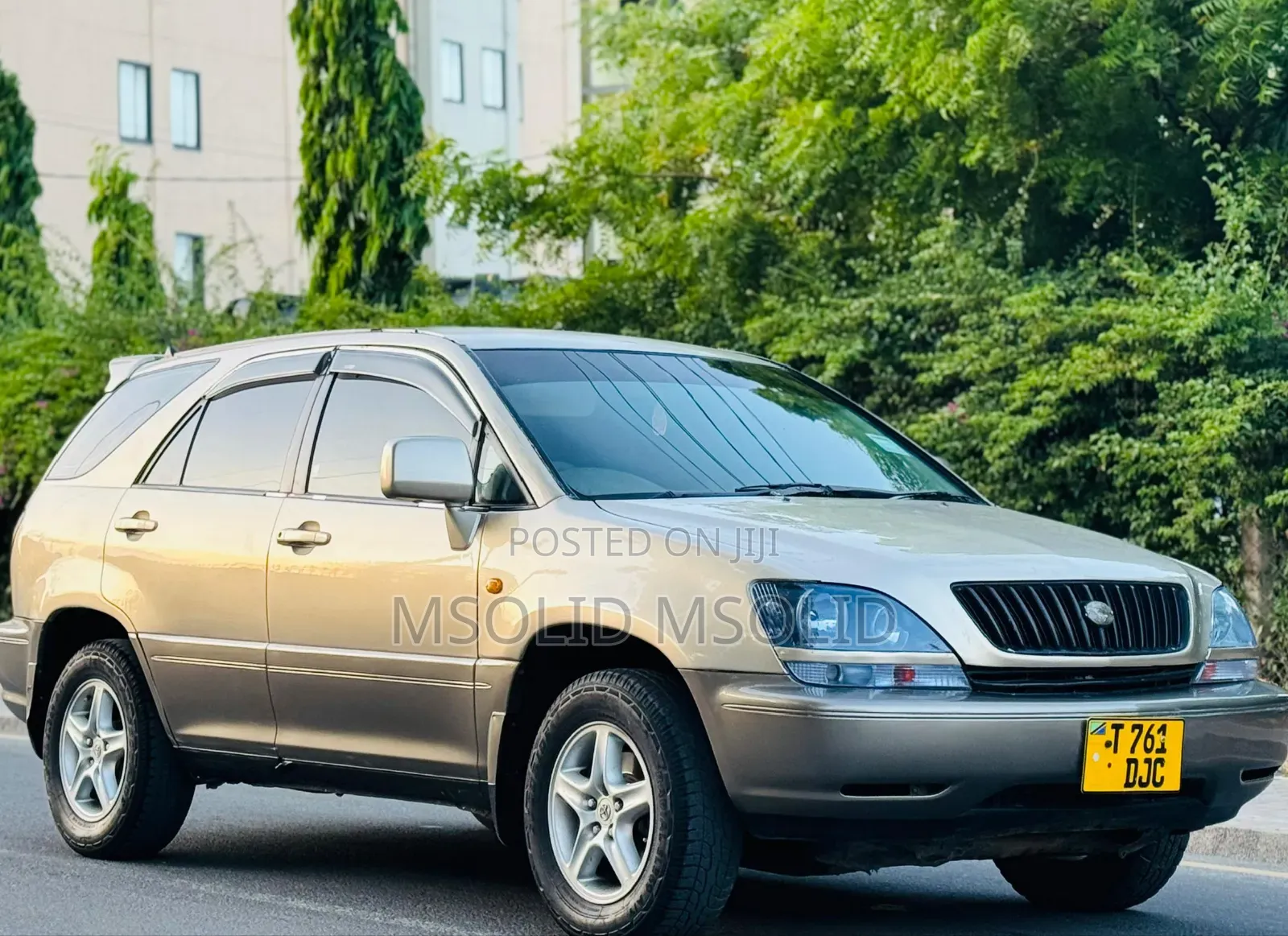 Toyota Harrier 2004 Gold