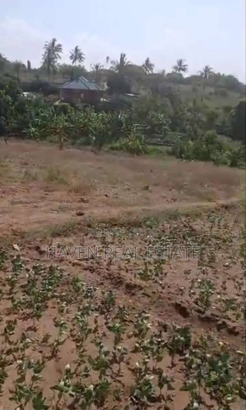 Kiwanja Kinauzwa Mbweni Moga