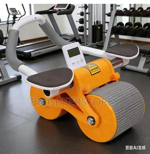 Ab Roller Wheel With Timer Knee Mat, Home Workout Auto Rebound