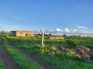 Viwanja Vya Makazi Bomang'ombe Kilimanjaro