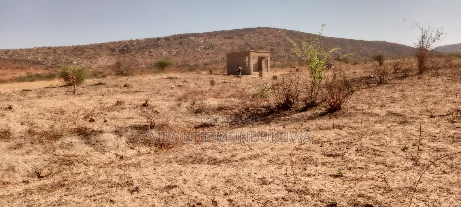 Mashamba Mazuri Dodoma Udom