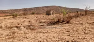 Mashamba Mazuri Dodoma Udom