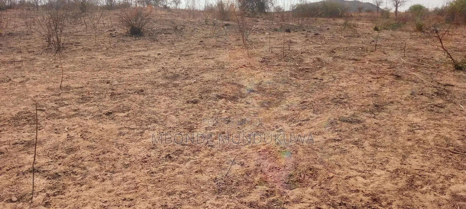 Mashamba Mazuri Dodoma Udom