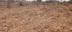 Mashamba Mazuri Dodoma Udom