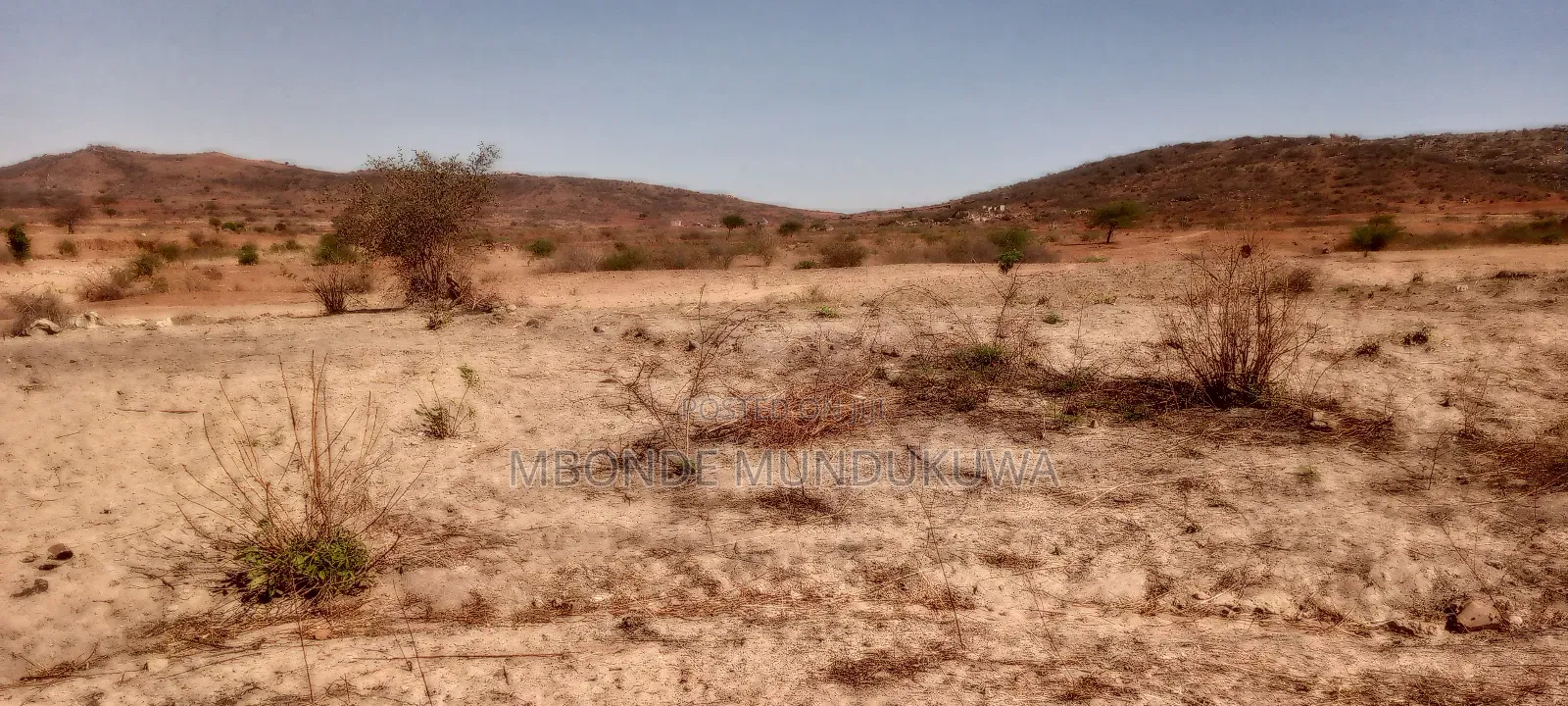 Mashamba Mazuri Dodoma Udom