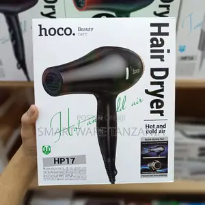 Hoco Hp17 Professional Hair Dryer Hot Cold Air Quick Drying
