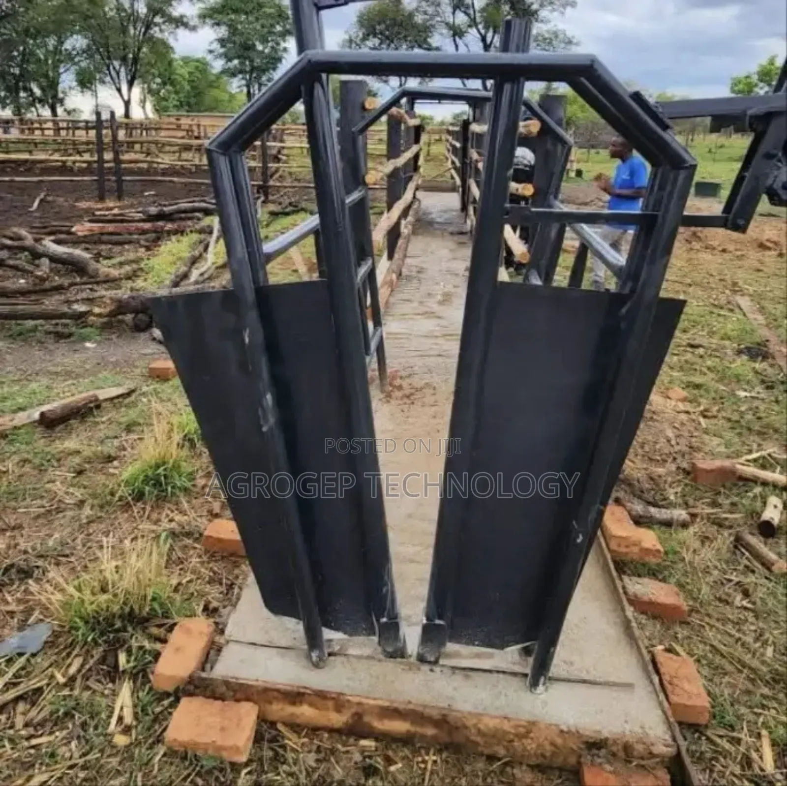 Cattle Neck Clamp